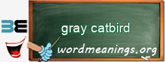 WordMeaning blackboard for gray catbird